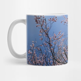 Cherry Blossom Mug